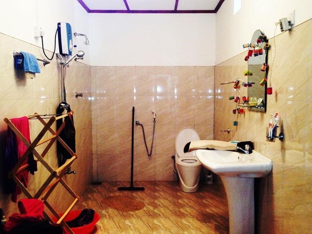 Зображення Mari Gold Special Cat. 1*